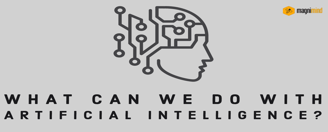 What Can We Do With Artificial Intelligence?