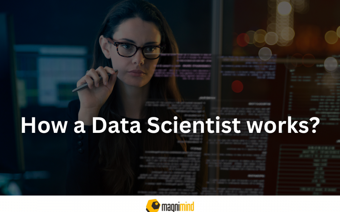 How a Data Scientist works?