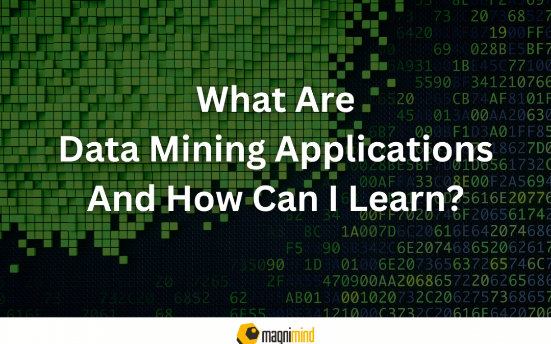 What Are Data Mining Applications And How Can I Learn?