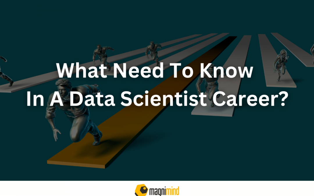 What Need To Know In A Data Scientist Career?