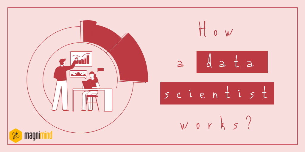 How a Data Scientist works?