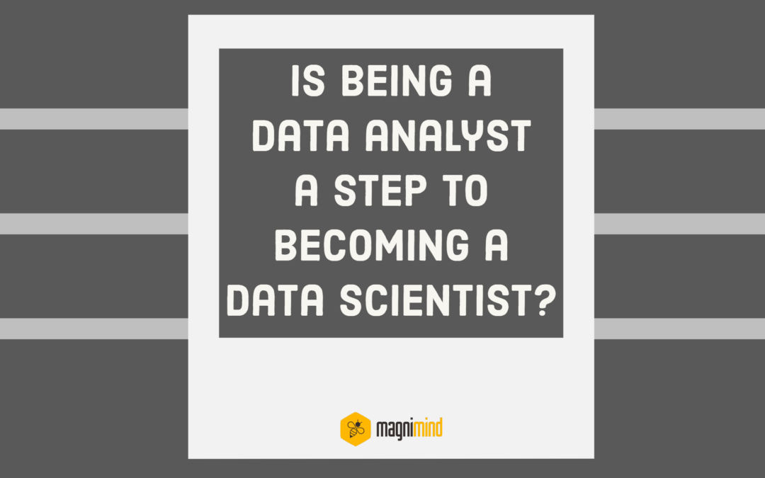 Is Being A Data Analyst A Step To Becoming A Data Scientist?