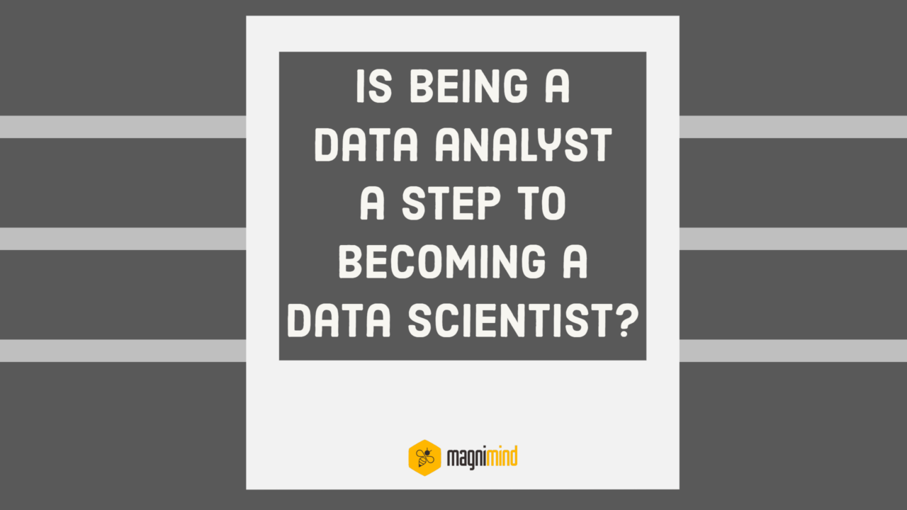 Is Being A Data Analyst A Step To Becoming A Data Scientist Magnimind Academy 4273