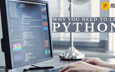 Why you need to learn Python?