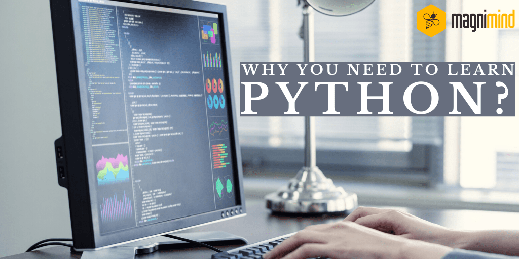 Why you need to learn Python?