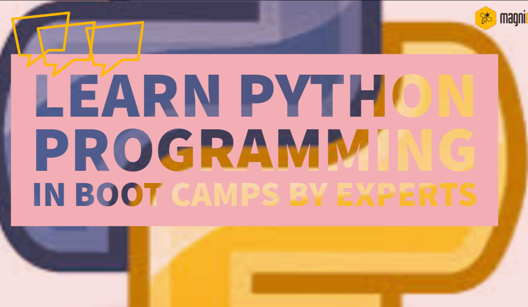 Learn Python Programming in Bootcamps by Experts