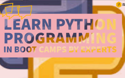 Learn Python Programming in Bootcamps by Experts