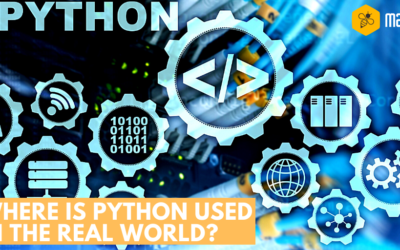 Where is Python used in the real world?