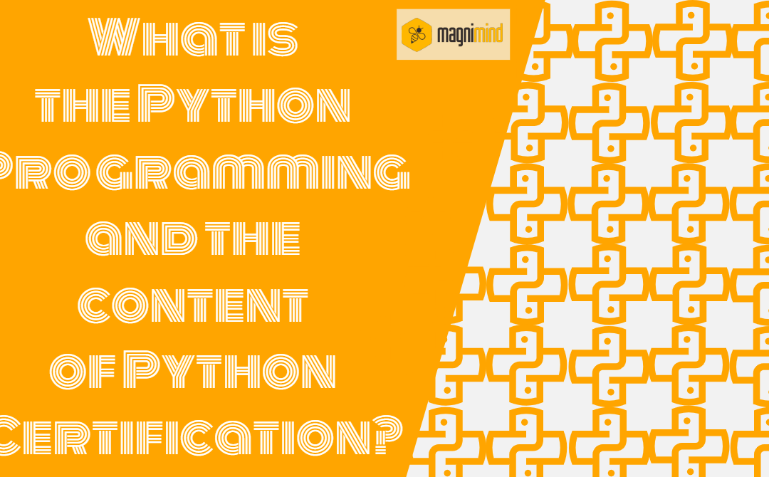 What is the Python Programming and the content of Python Certification?