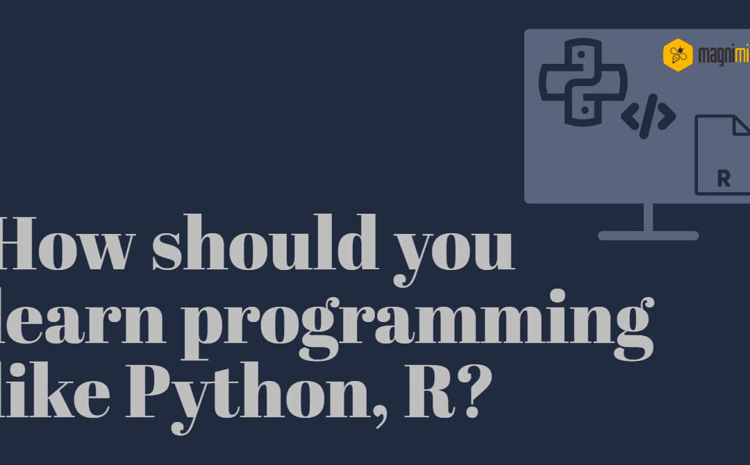 How should you learn programming like Python, R?