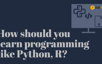 How should you learn programming like Python, R?