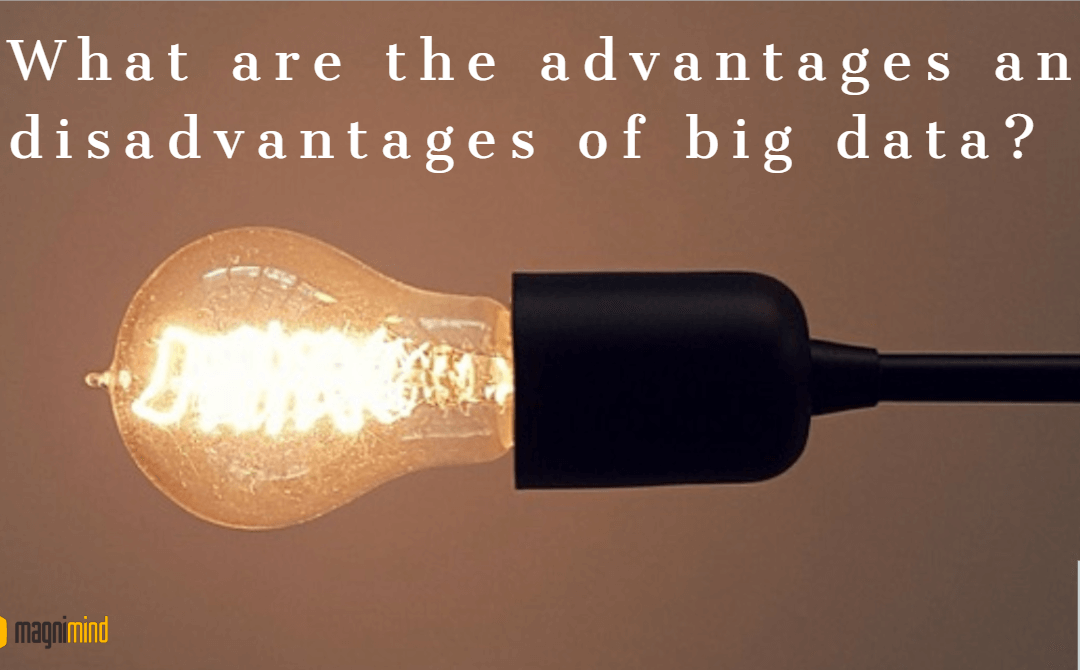 What Are The Advantages And Disadvantages Of Big Data?