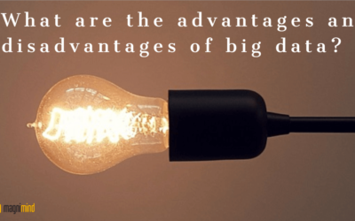 What Are The Advantages And Disadvantages Of Big Data?