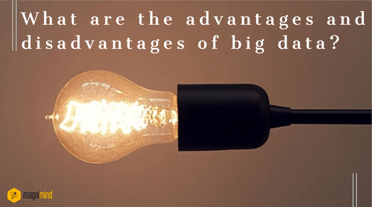 advantages and disadvantages of big data
