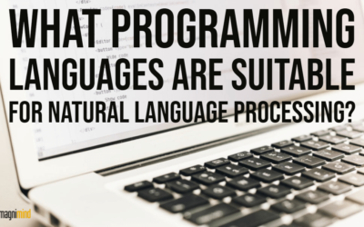 What Programming Languages Are Suitable For Natural Language Processing?