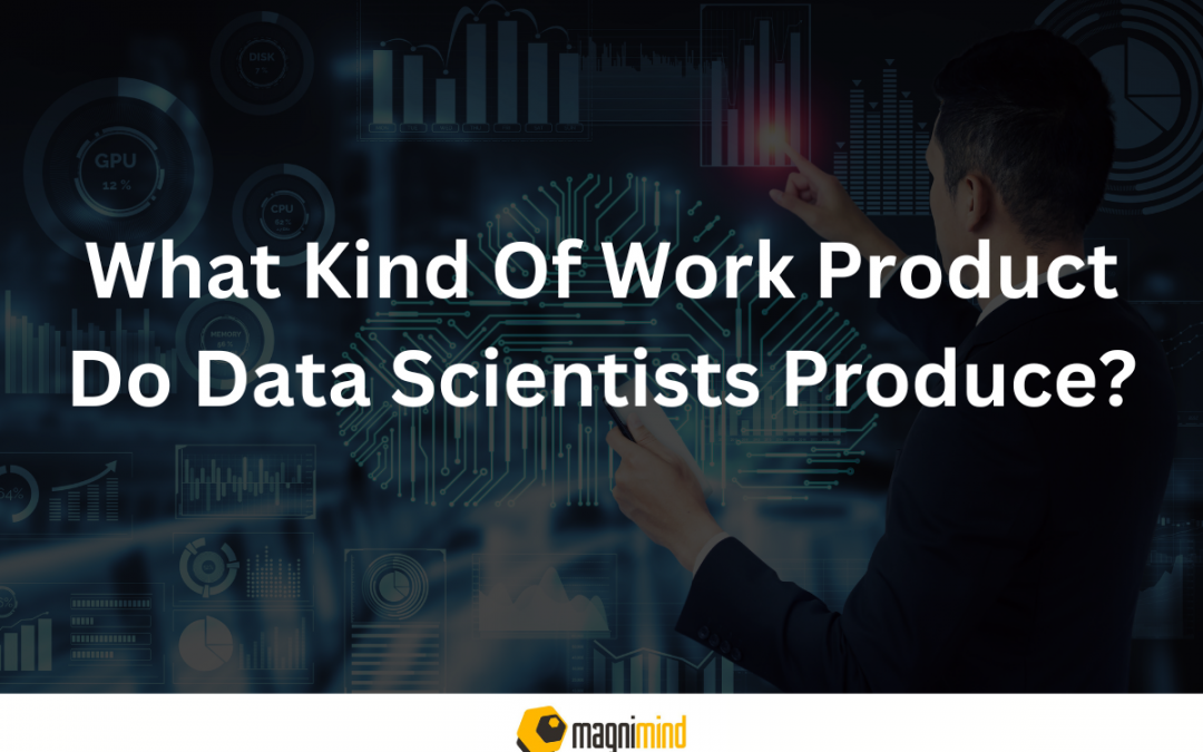 What Kind Of Work Product Do Data Scientists Produce?