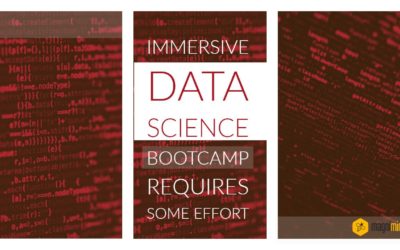 Immersive Data Science Bootcamp Requires Some Effort