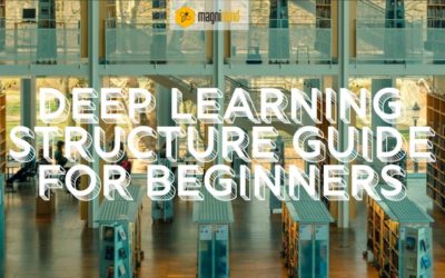 Deep Learning Structure Guide For Beginners