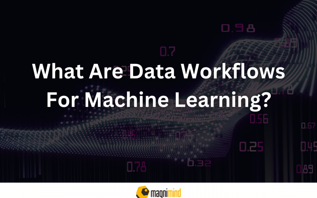What Are Data Workflows For Machine Learning?