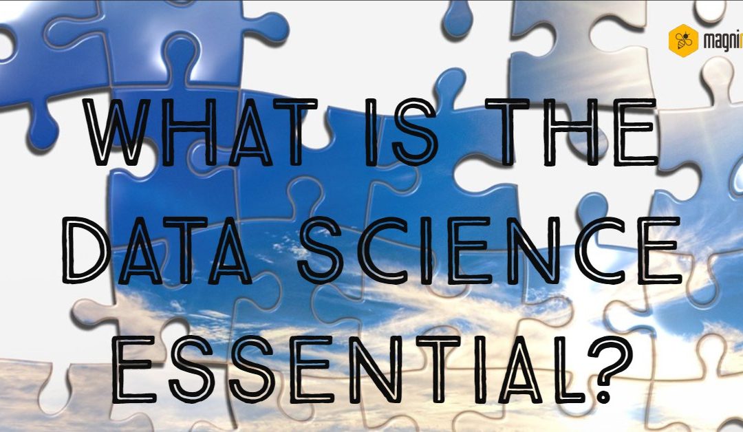 What Are The Data Science Essentials?