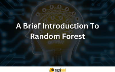Creating A Forest From A Tree: A Brief Introduction To Random Forest