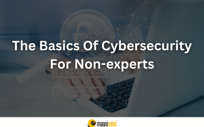 The Basics Of Cybersecurity For Non-experts