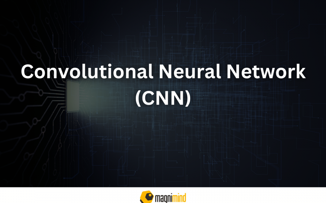 Convolutional Neural Network (CNN)