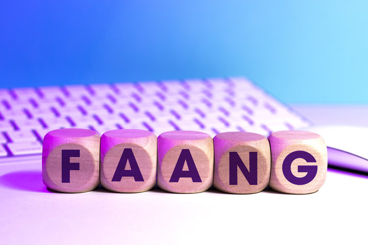 Beyond Interview Kickstart: Discover the Magnimind Advantage for FAANG-Bound Data Professionals