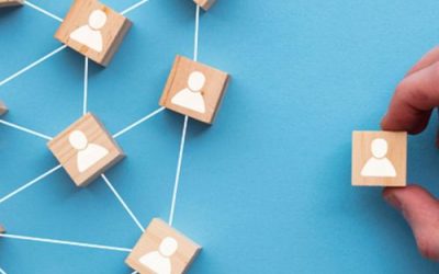 Navigating the Data Science Bootcamp Maze: Why Magnimind Stands Out from Springboard and Others