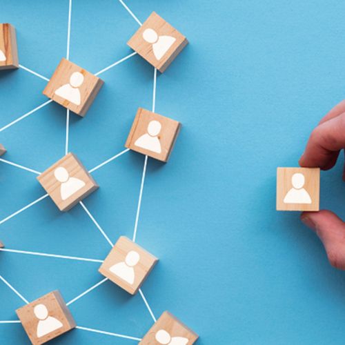 Navigating the Data Science Bootcamp Maze: Why Magnimind Stands Out from Springboard and Others