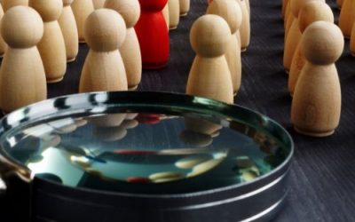 Springboard vs. Magnimind: Which Bootcamp Is Right for Your Tech Career in Palo Alto?